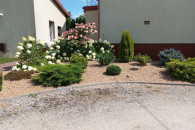 Zakładanie i Pielęgnacja Ogrodów