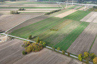 9500 m2 działka rolno-budowlana Marzenin 0,95