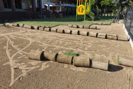 Trawnik z rolki - siany…