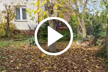 Dom 90m2 Zd Wola Wilcza