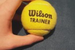 Piłka Wilson do Tenisa Ziemnego