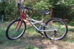 Rower srebrno-czerwony UNIBIKE 24 Schimano